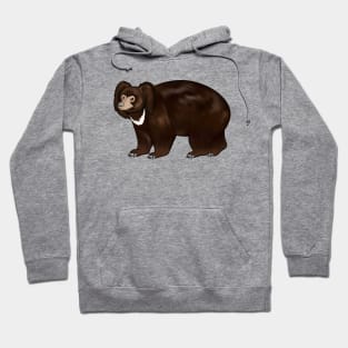 Drawing of sloth bear Hoodie